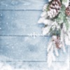 Wintering - Single