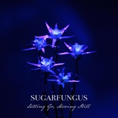 SUGARFUNGUS - Retrospect