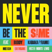 Never Be The Same (feat. Buddy, MediSun & Hector Roots Lewis) artwork