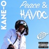 Peace & Havoc - EP