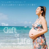 The Gift Of Life artwork