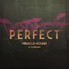 Perfect (feat. Karliene) - Single album lyrics, reviews, download