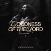 Goodness of the Lord - Single