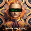 Body On Fire - Single