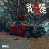Shake the Place artwork
