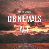 Gib niemals auf (feat. Fortyfife) artwork