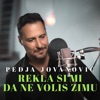 Rekla si mi da ne voliš zimu (Cover) - Single