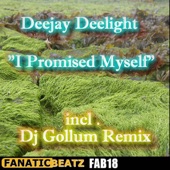 I Promised Myself (DJ Gollum RMX Radio Edit) artwork