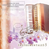 Iglesia de Dios Ministerial de Jesucristo Internacional, Vol. 5 (Instrumental) artwork