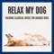 Bow Wow - Relaxmydog & Dog Music Dreams lyrics