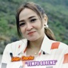 Tempe Goreng - Single
