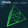 Miracle (Remixes) - Single