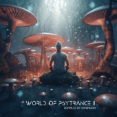 World Of Psytrance 11 artwork