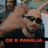Ce E Familia (feat. Amuly & Spectru) - Single