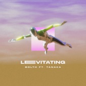 Levitating artwork