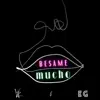 bésame mucho - Single album lyrics, reviews, download