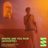 Where Are You Now (Acoustic) artwork