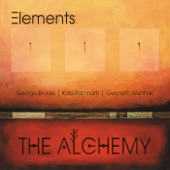 Elements - Ambika