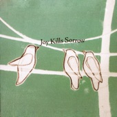 Joy Kills Sorrow - You Made It Easy
