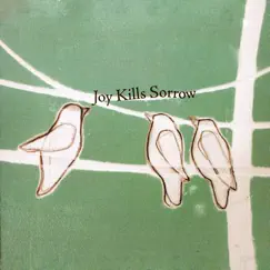 Joy Kills Sorrow by Joy Kills Sorrow album reviews, ratings, credits