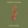 Hajdemo U Planine - Single