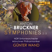 Bruckner: Symphonies 3 - 9 artwork