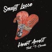 Heart Arrest (feat. T-Chronic) artwork