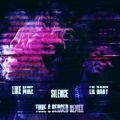 Silence (Tube & Berger Remix) artwork