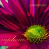 Euphoric