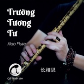 Trường Tương Tư (Thái Khang Remix 长相思 - Xiao Flute) artwork