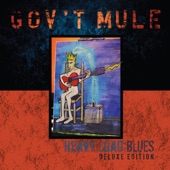 Gov't Mule - Ain’t No Love In The Heart Of The City