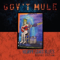 Gov't Mule Ablum Cover