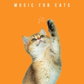 Calming Songs For Cats artwork