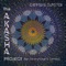 Namaste (Instrumental) [feat. Bikramjit Singh] - Chinmaya Dunster lyrics