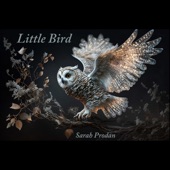 Sarah Prodan - Ever After, Never More