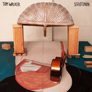 Tom Walker - Serotonin - Line Dance Music