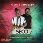 Seco artwork