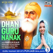 Dhan Guru Nanak artwork
