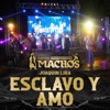 Esclavo Y Amo - Single