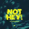 Stream & download Not Hey! - Single