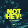 Not Hey! - Single