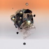 Concrete Blossom - Single