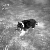 Joyer - Silver Moon
