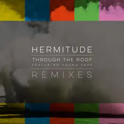 Through the Roof (Remixes) - EP by Hermitude album reviews, ratings, credits