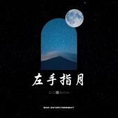 左手指月 (feat. Tát Đỉnh Đỉnh) [DJ版Bon] artwork