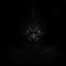 Calamity (Let Go of Everything) - ZMAJOR lyrics