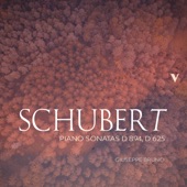 Schubert: Sonata in G Major, Op. 78, D. 894 & Sonata in F Minor, D. 625 artwork