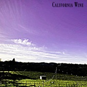 Invisible from Inside - California Wine