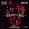 Torture & Pain (feat. Zagnif Nori & Wiseking) - Single album lyrics, reviews, download