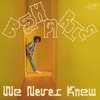 We Never Knew - Beharie